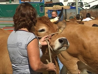 Feria de ganado de Somiedo