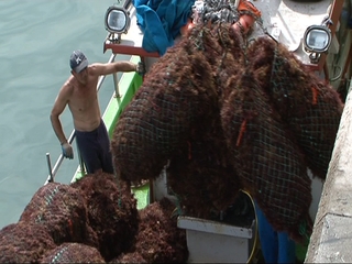 Ocle en un barco pesquero