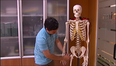 Uno de los investigadores muestra en un esqueleto donde iría implatada la prótesis