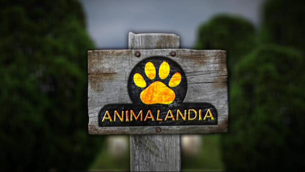 Ver programa Animalandia