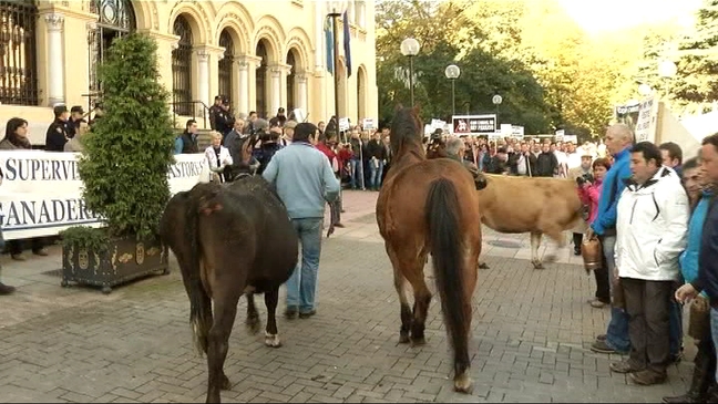 Protesta de los ganaderos en Oviedo