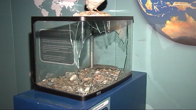 Destrozos en el Museo del Calamar Gigante de Luarca