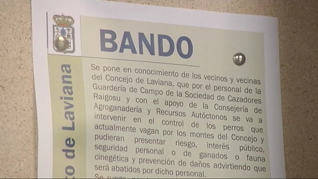 Bando del Ayuntamiento de Laviana