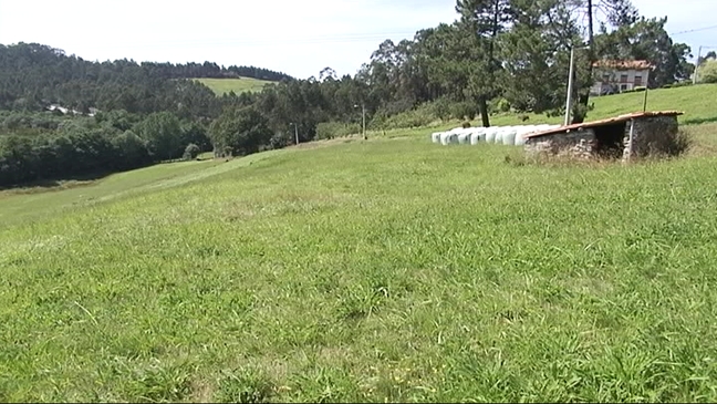 Finca de Tamón que albergará la perrera