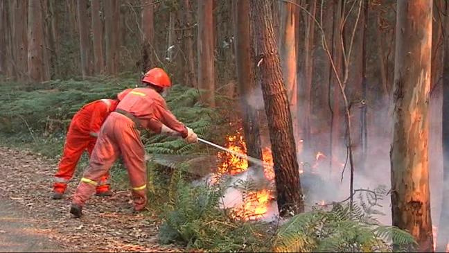Los Bomberos trabajan en la extinción de un incendio forestal en Coaña