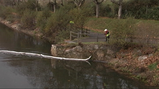 Limpieza en la ría de Avilés