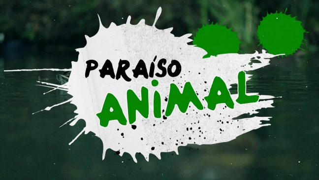 Ver programa Paraíso animal