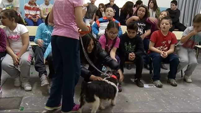 Amigos del Perro visitan un colegio
