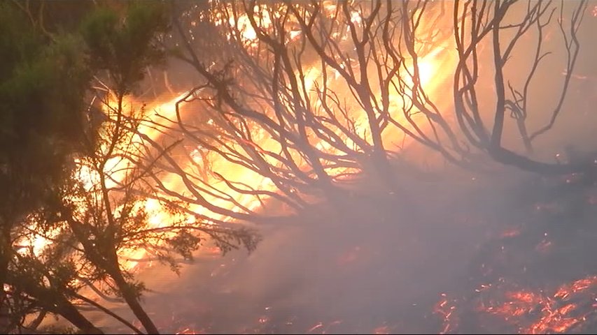 El Principado contabiliza 27 incendios forestales en 12 concejos