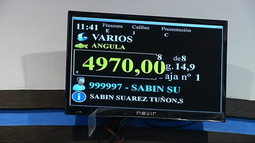 Vendido el primer lote de angula en Ribadesella por 4.970 euros