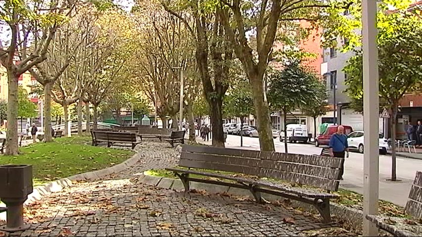 El Ayuntamiento comprobará si se han incrementado los estorninos en El Cerillero