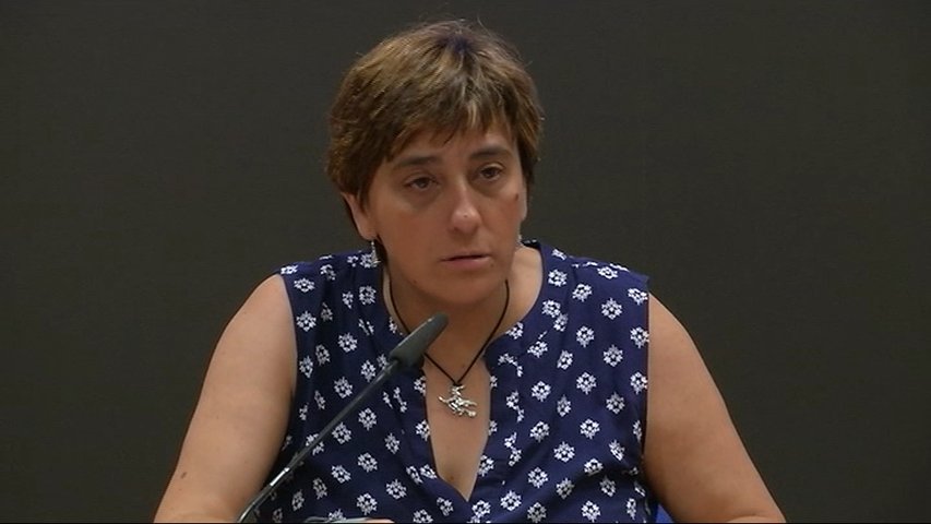 Comparecencia de la concejala socialista Ana Rivas