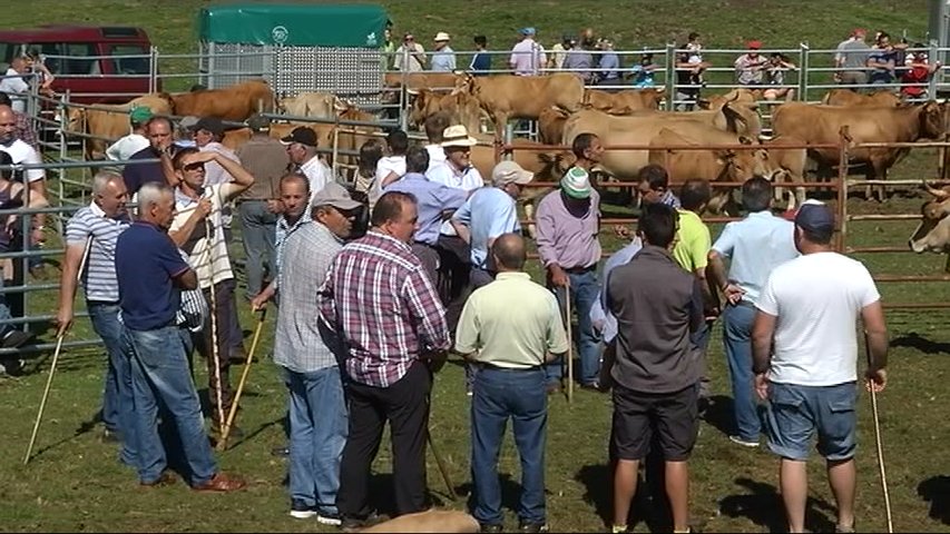Feria de ganado de Cuevallagar en Yernes y Tameza