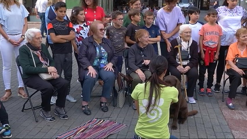 Grado celebra el Día Internacional de las Personas Mayores