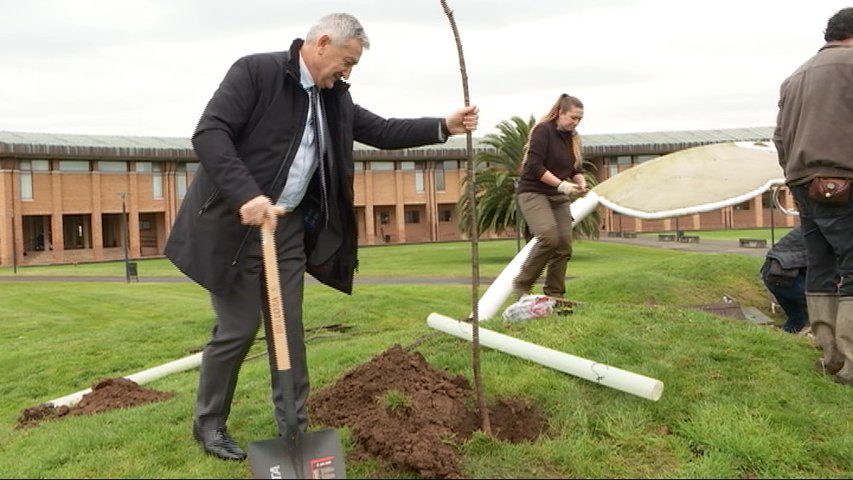 El rector de la Universidad de Oviedo ayuda a plantar árboles en el campus de Gijón