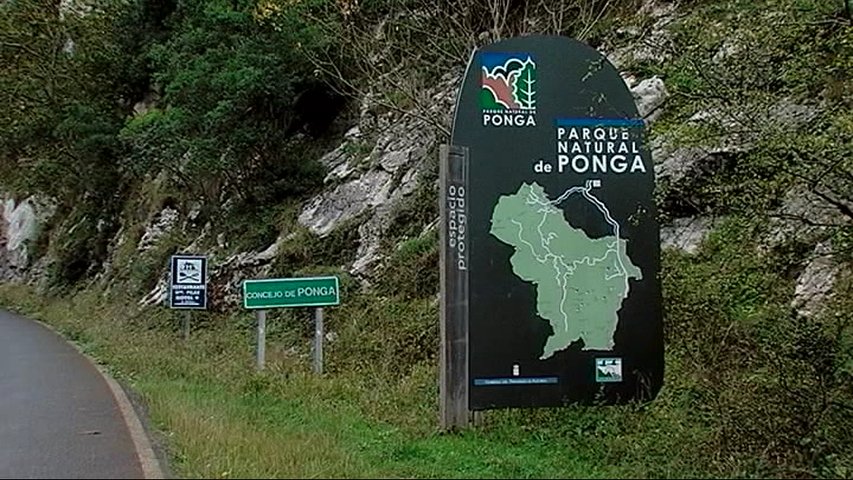 Cartel de señalización del Parque Natural de Ponga en la carretera de Ponga a Caso
