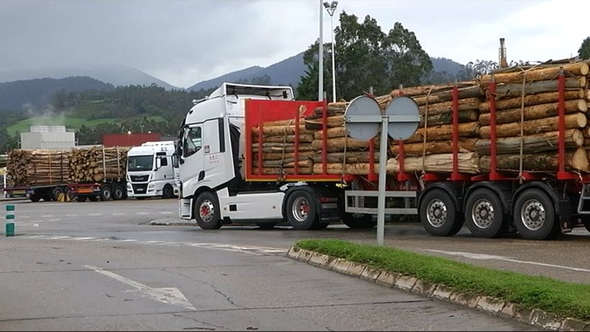 Un camión de madera destinada a Ence entra en las instalaciones