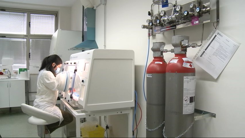 Laboratorio donde estudian la microbiota para paliar secuelas del covid