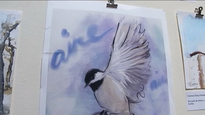 La imagen de un ave lavandera, ganadora de la Exposición de Arte Postal
