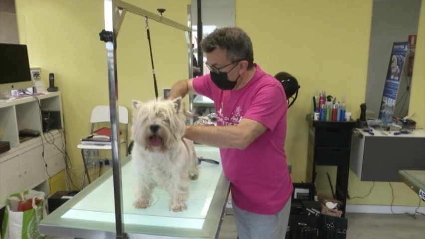 Servicio de peluquería canina en un seminario para recaudar fondos para el Síndrome de Rett en Castrillón