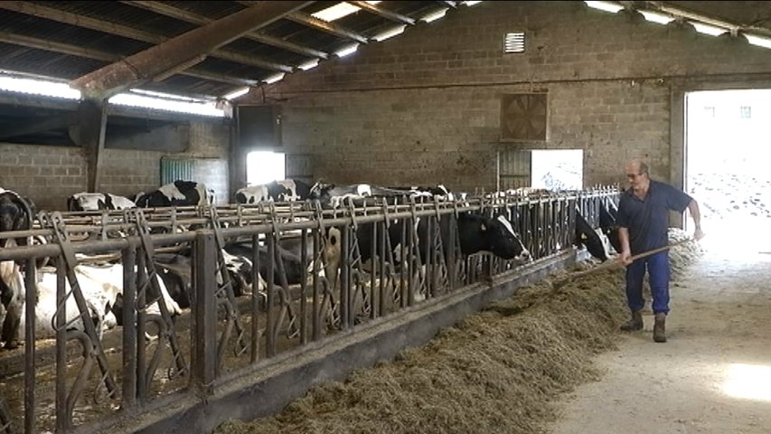 Los ganaderos que sirven leche a Danone desconocen cómo será su futuro