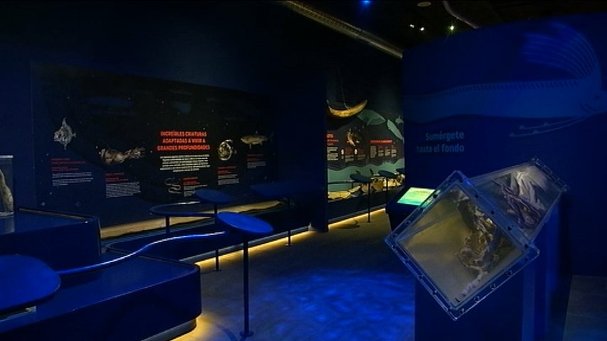 Interior del Museo del Calamar Gigante en Lluarca