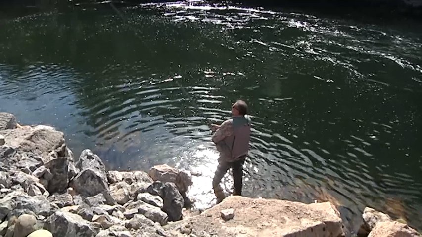 Un pescador en un río salmonero en Asturias